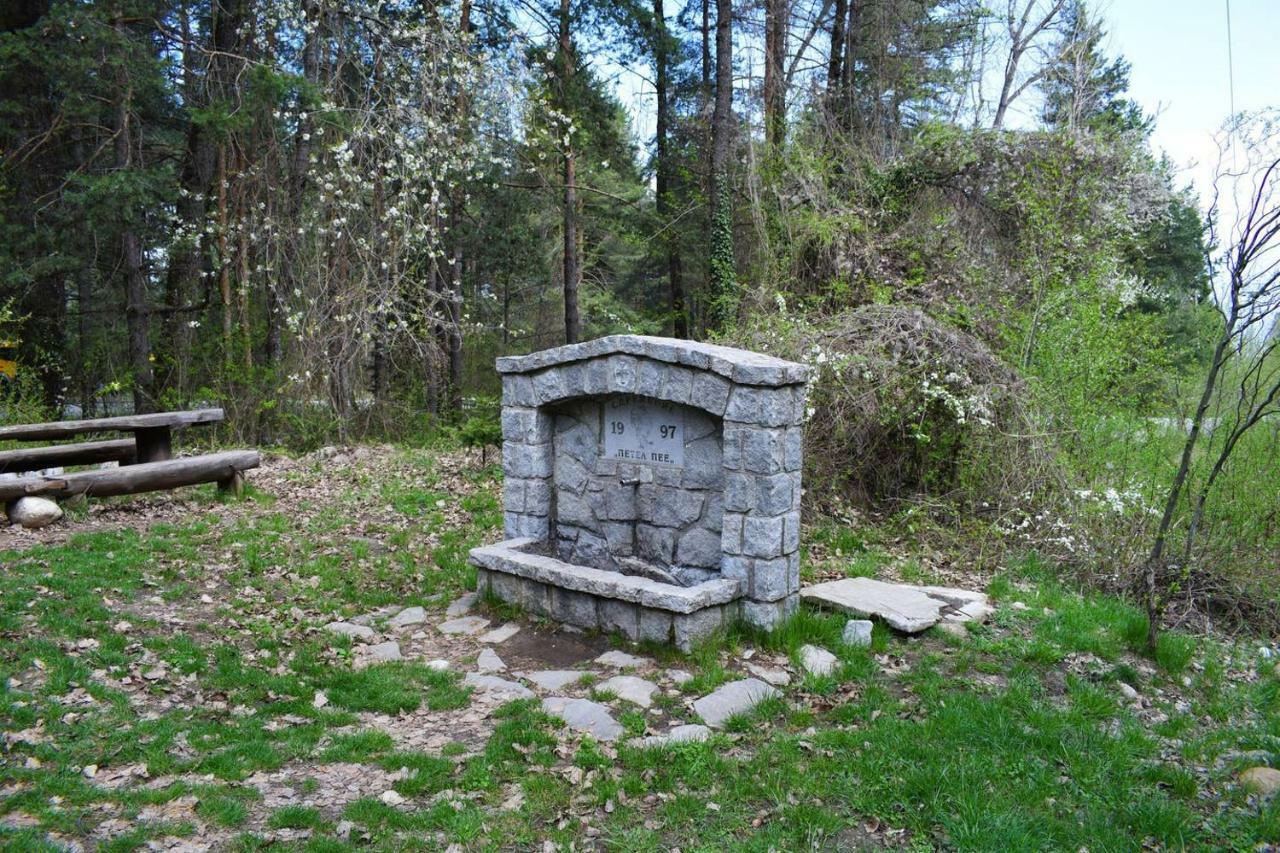 Detelina Residence Bansko Exteriör bild